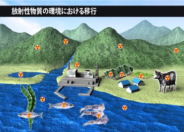 放射性物質の環境における移行