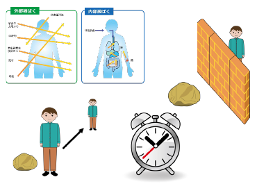 外部ひばく低減の３原則
