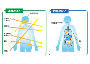 外部被ばくと内部被ばく